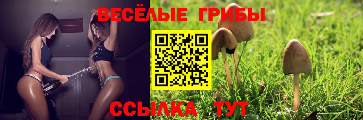 Азнакаево  Галлюциногенные грибы ЛСД  Вход с VPN 
