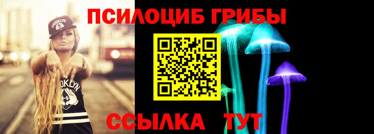 Псилоцибиновые грибы Psilocybe Азнакаево